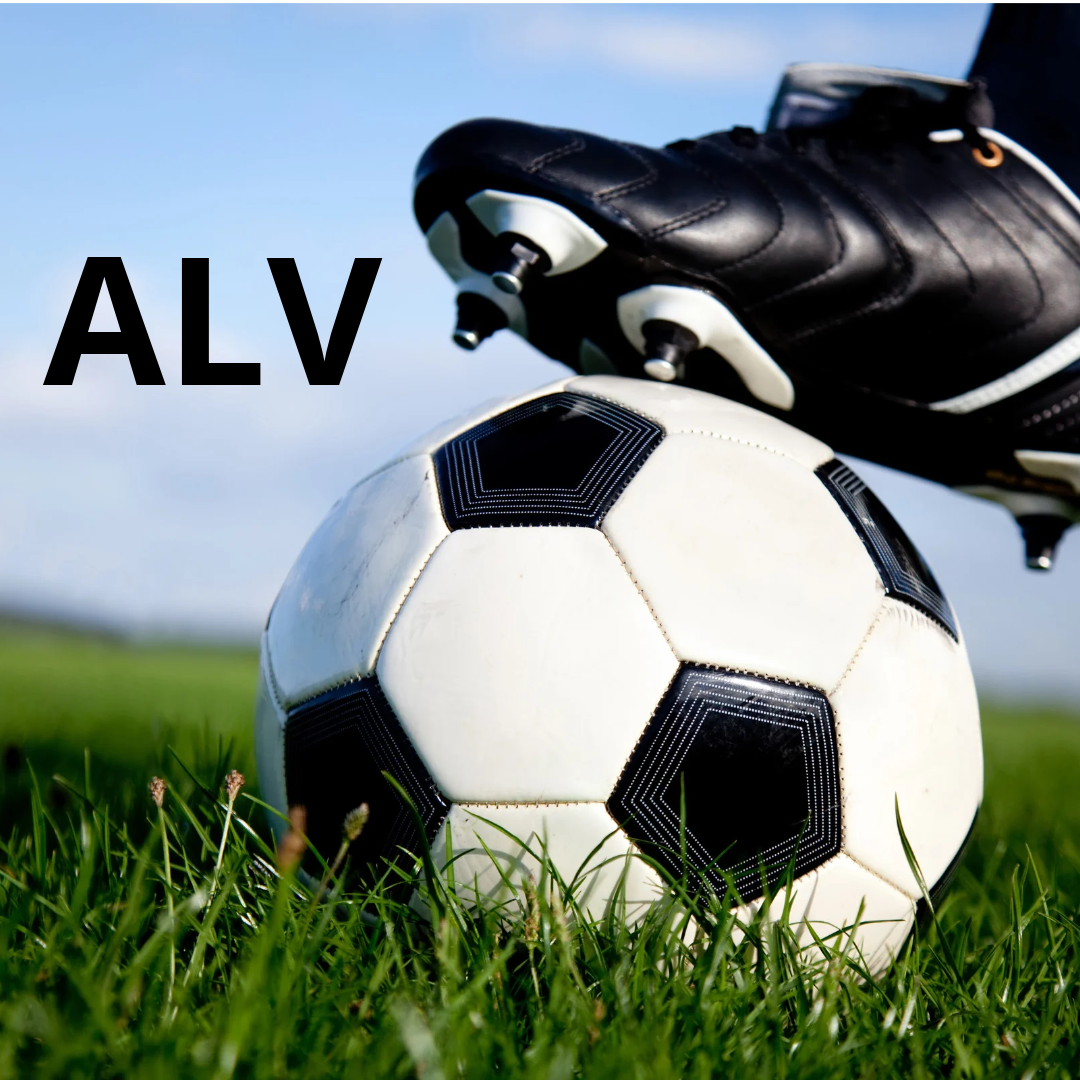 ALV - maandag 2 november