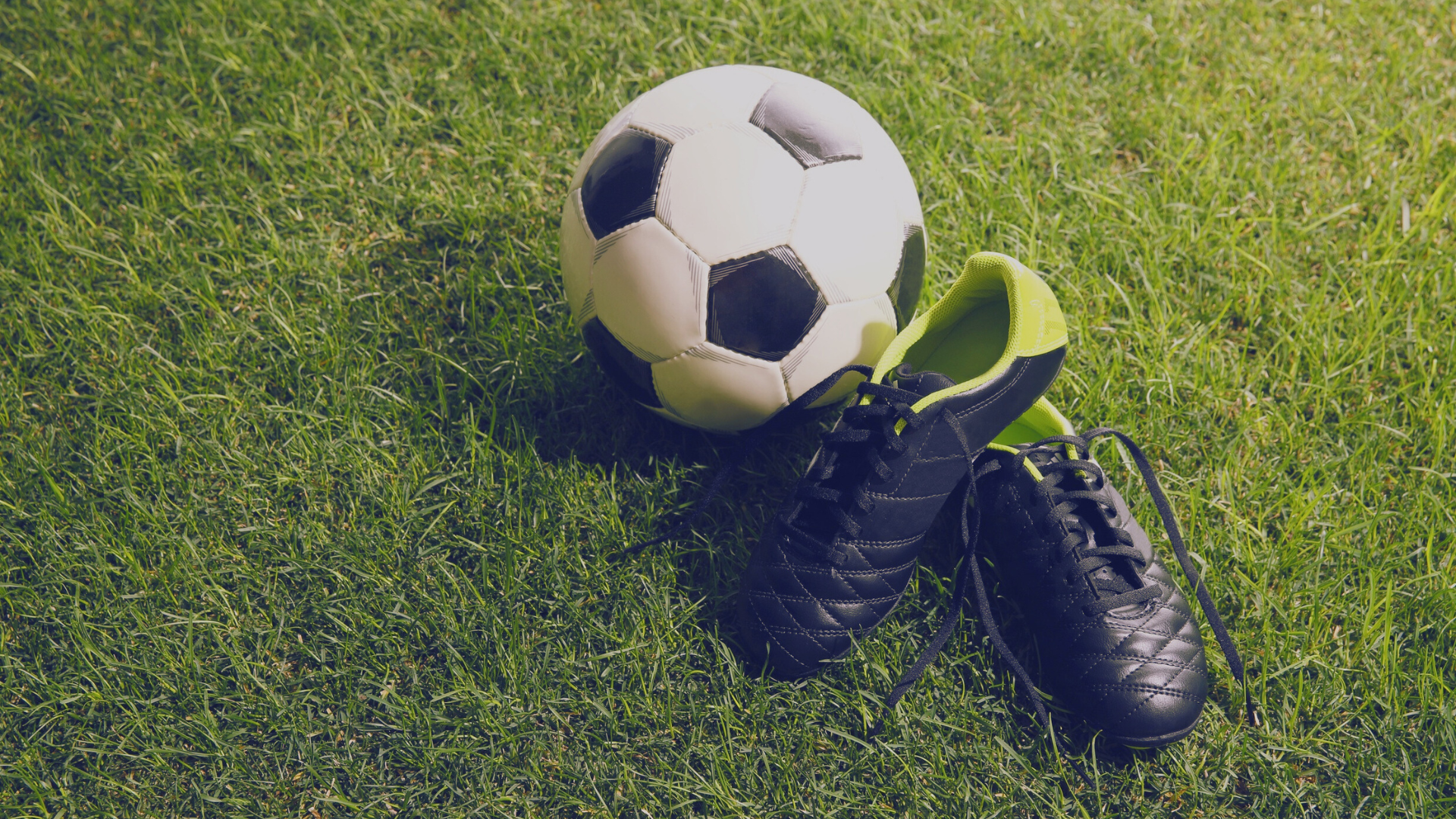 OVERLIJDEN ERELID BERTUS TEMPELAAR